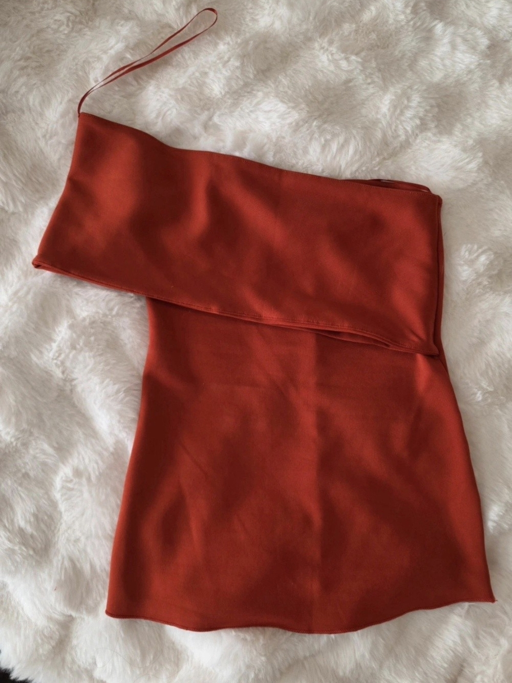 ZARA burnt Orange Silky Top